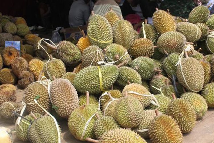 Makan durian sampai puas  Sabah Post